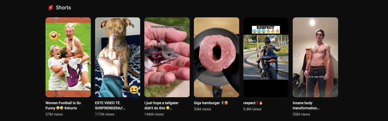 The Shorts Shelf is a rising new feature using a unique new algorithm to tailor content to it's viewers. It's like the TikTok of YouTube.